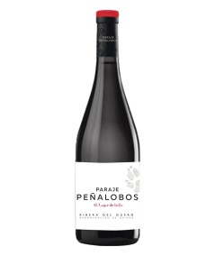 Lagar de Isilla Paraje Peñalobos