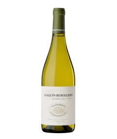 Joaquin Rebolledo Godello